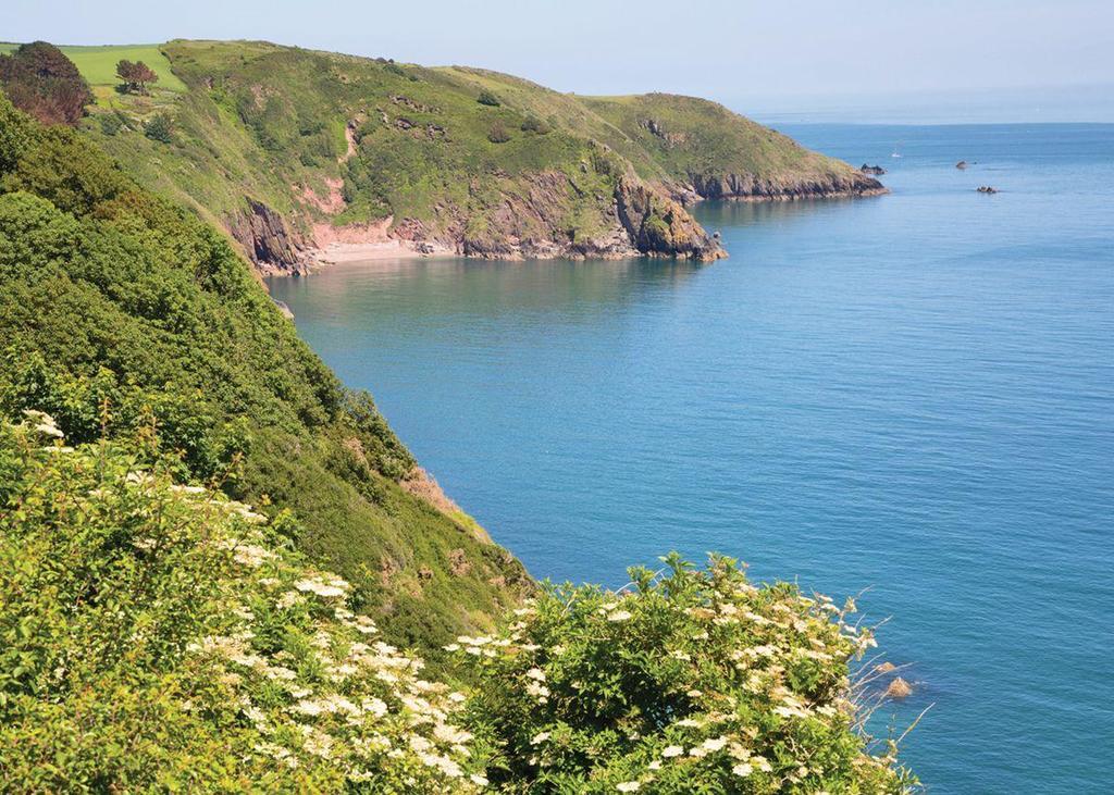 Leonards Cove Hotel Stoke Fleming Bagian luar foto
